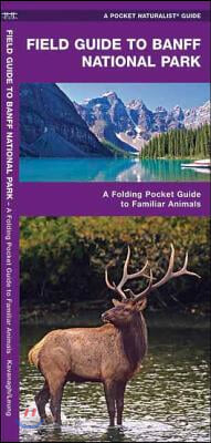 Field Guide to Banff National Park: A Folding Pocket Guide to Familiar Plants &amp; Animals