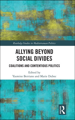 Allying beyond Social Divides