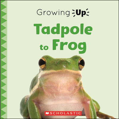 Tadpole to Frog (Growing Up)