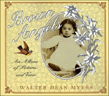 Brown Angels: An Album of Pictures and Verse