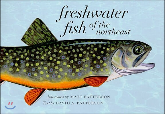 Freshwater Fish of the Northeast