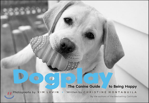 Dogplay: The Canine Guide to Being Happy