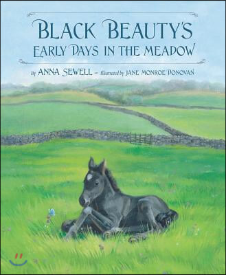 Black Beauty&#39;s Early Days in the Meadow