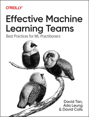 Effective Machine Learning Teams: Best Practices for ML Practitioners