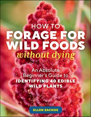 How to Forage for Wild Foods Without Dying: An Absolute Beginner&#39;s Guide to Identifying 40 Edible Wild Plants