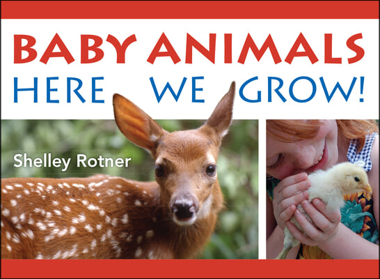 Baby Animals!: Here We Grow