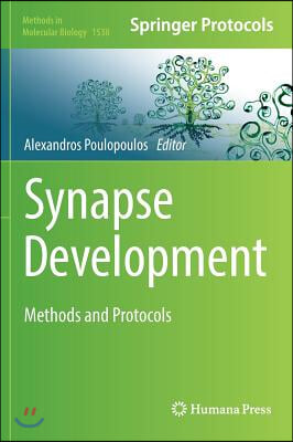 Synapse Development: Methods and Protocols