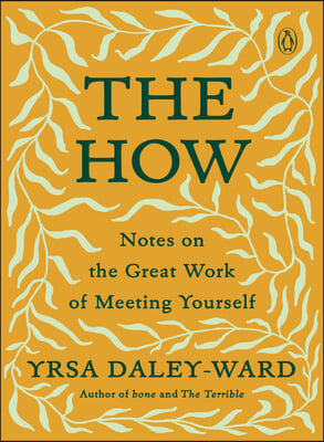 The How: Notes on the Great Work of Meeting Yourself