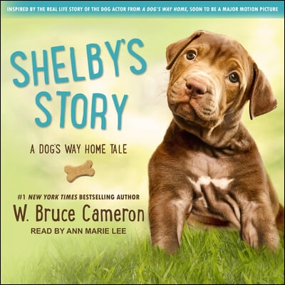 Shelby&#39;s Story: A Dog&#39;s Way Home Tale