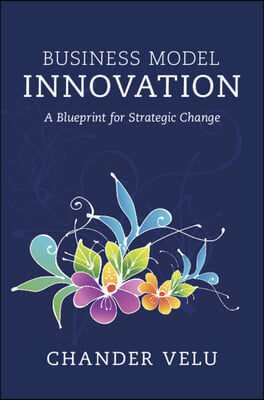 Business Model Innovation: A Blueprint for Strategic Change