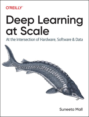 Deep Learning at Scale: At the Intersection of Hardware, Software, and Data