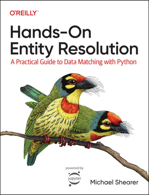 Hands-On Entity Resolution: A Practical Guide to Data Matching with Python
