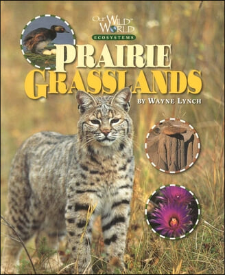 Prairie Grasslands