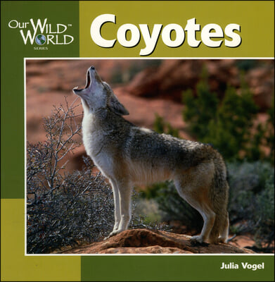 Our Wild World, Coyotes