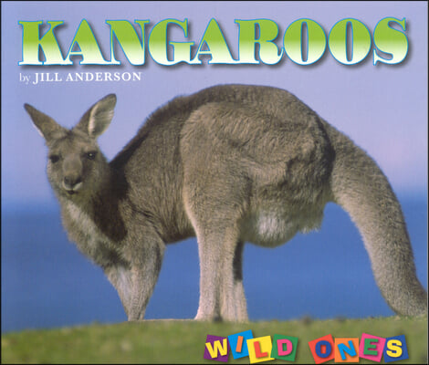 Kangaroos