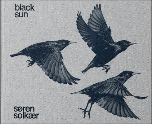 S&#248;ren Solk&#230;r: Black Sun