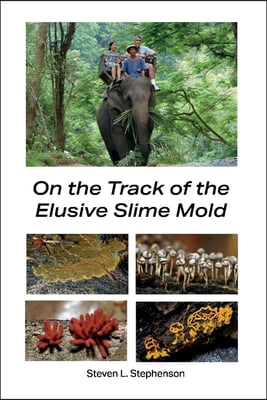 On the Track of the Elusive Slime Mold