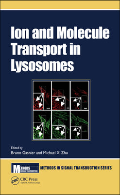 Ion and Molecule Transport in Lysosomes