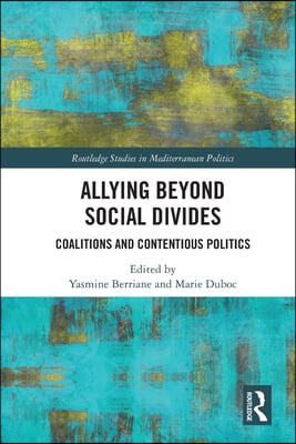 Allying beyond Social Divides