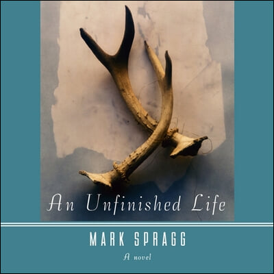 An Unfinished Life