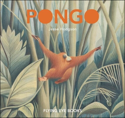 Pongo