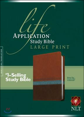 Life Application Study Bible