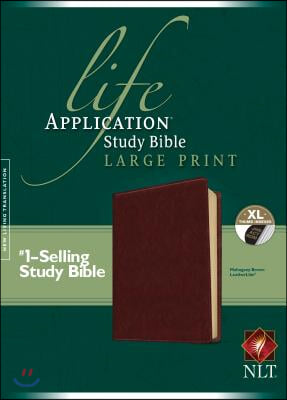 Life Application Study Bible