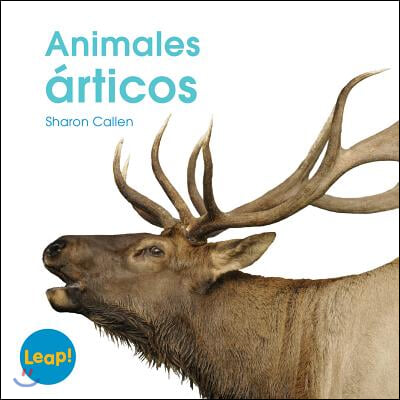 Animales articos / Arctic Animals