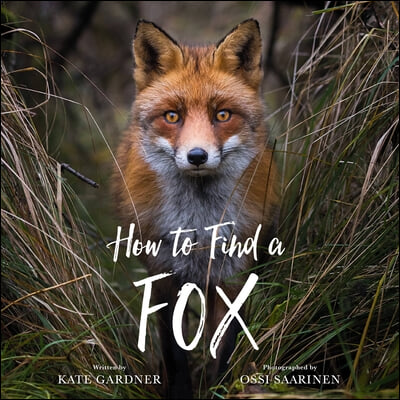 How to Find a Fox