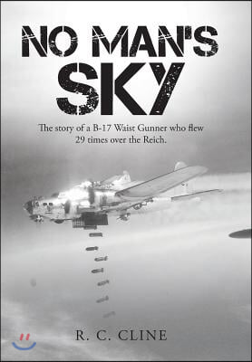 No Man's Sky: The Story of a B-17 Waist Gunner Who Flew Twenty-Nine Times over the Reich