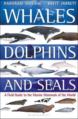 Whales, Dolphins and Seals