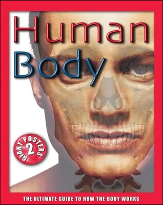 Human Body