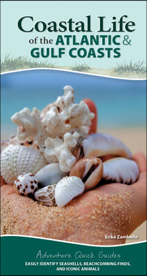 Coastal Life of the Atlantic and Gulf Coasts: Easily Identify Seashells, Beachcombing Finds, and Iconic Animals