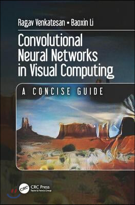 Convolutional Neural Networks in Visual Computing