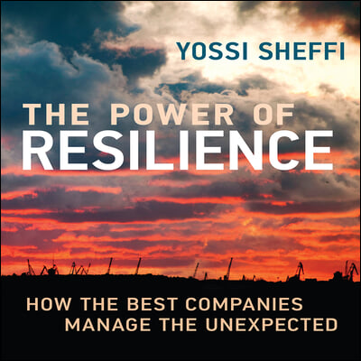 The Power Resilience: How the Best Companies Manage the Unexpected