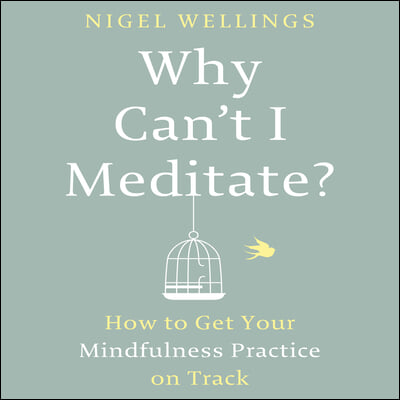 Why Can't I Meditate?: How to Get Your Mindfulness Practice on Track