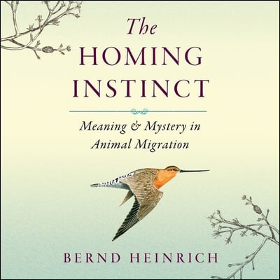 The Homing Instinct Lib/E: Meaning and Mystery in Animal Migration