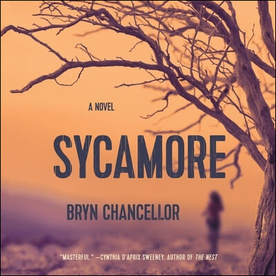 Sycamore