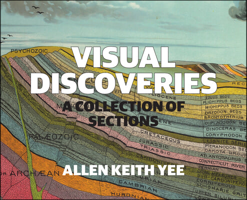 Visual Discoveries: A Collection of Sections