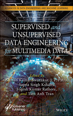 Supervised and Unsupervised Data Engineering for Multimedia Data