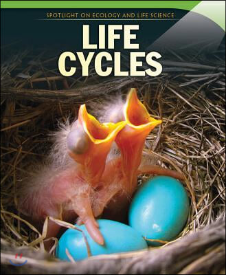 Life Cycles