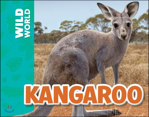 Kangaroo