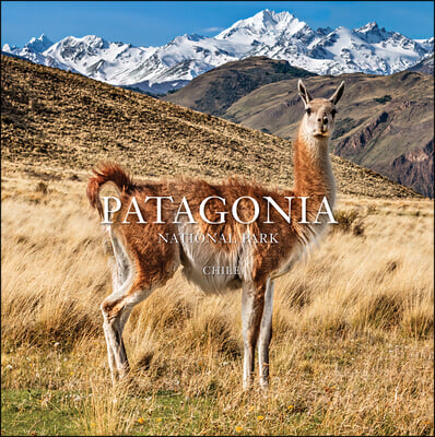 Patagonia National Park: Chile: Chile
