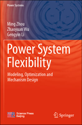 Power System Flexibility: Modeling, Optimization and Mechanism Design