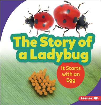 The Story of a Ladybug: It Starts with an Egg