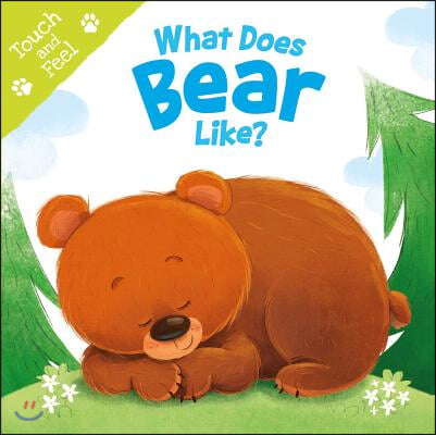 What Does Bear Like (Touch &amp; Feel): Touch &amp; Feel Board Book