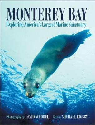 Monterey Bay: Exploring America's Largest Marine Sanctuary