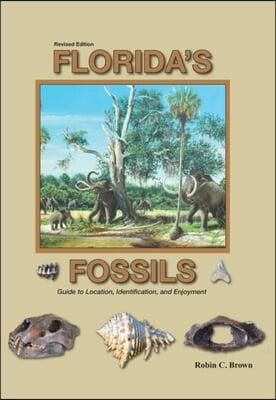 Florida&#39;s Fossils