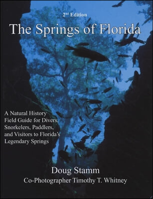 The Springs Of Florida