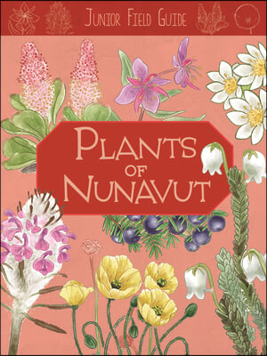 Junior Field Guide: Plants of Nunavut: English Edition